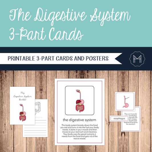 The Digestive System: 3-Part Cards, Posters, and Booklets