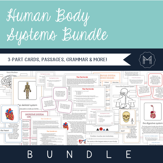 Body Systems Bundle