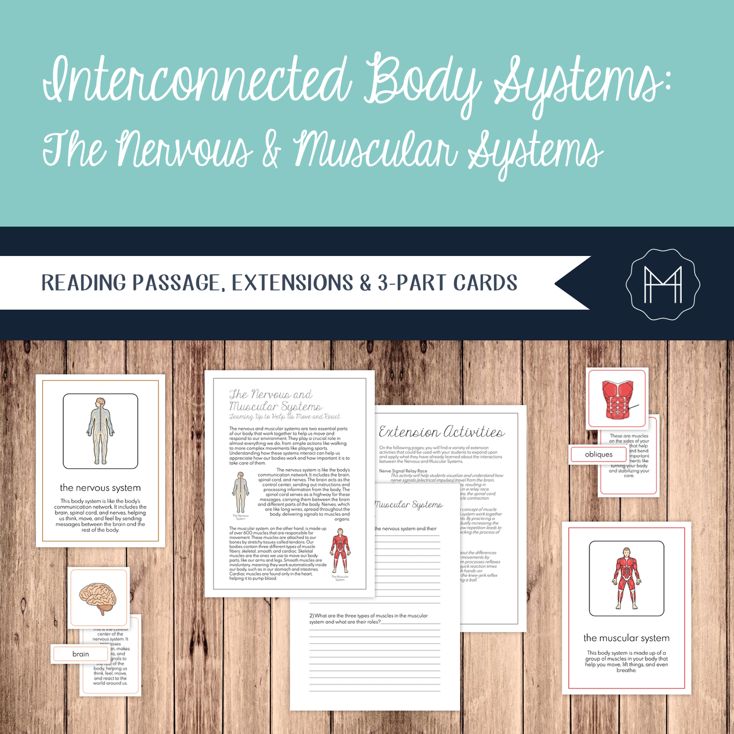 Interconnected Body Systems: Muscular and Nervous Systems