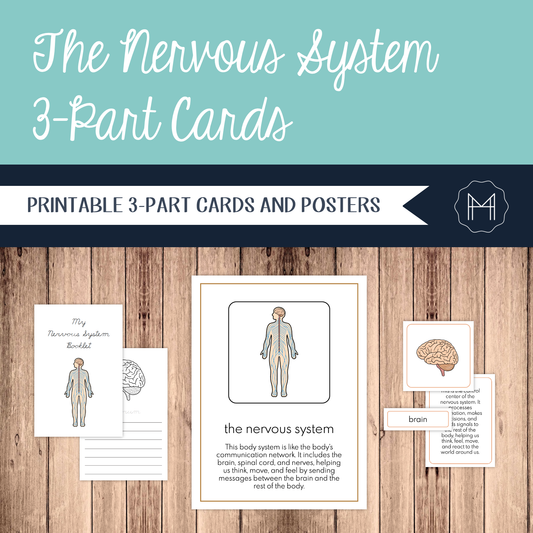 The Nervous System: 3-Part Cards, Posters, and Booklets