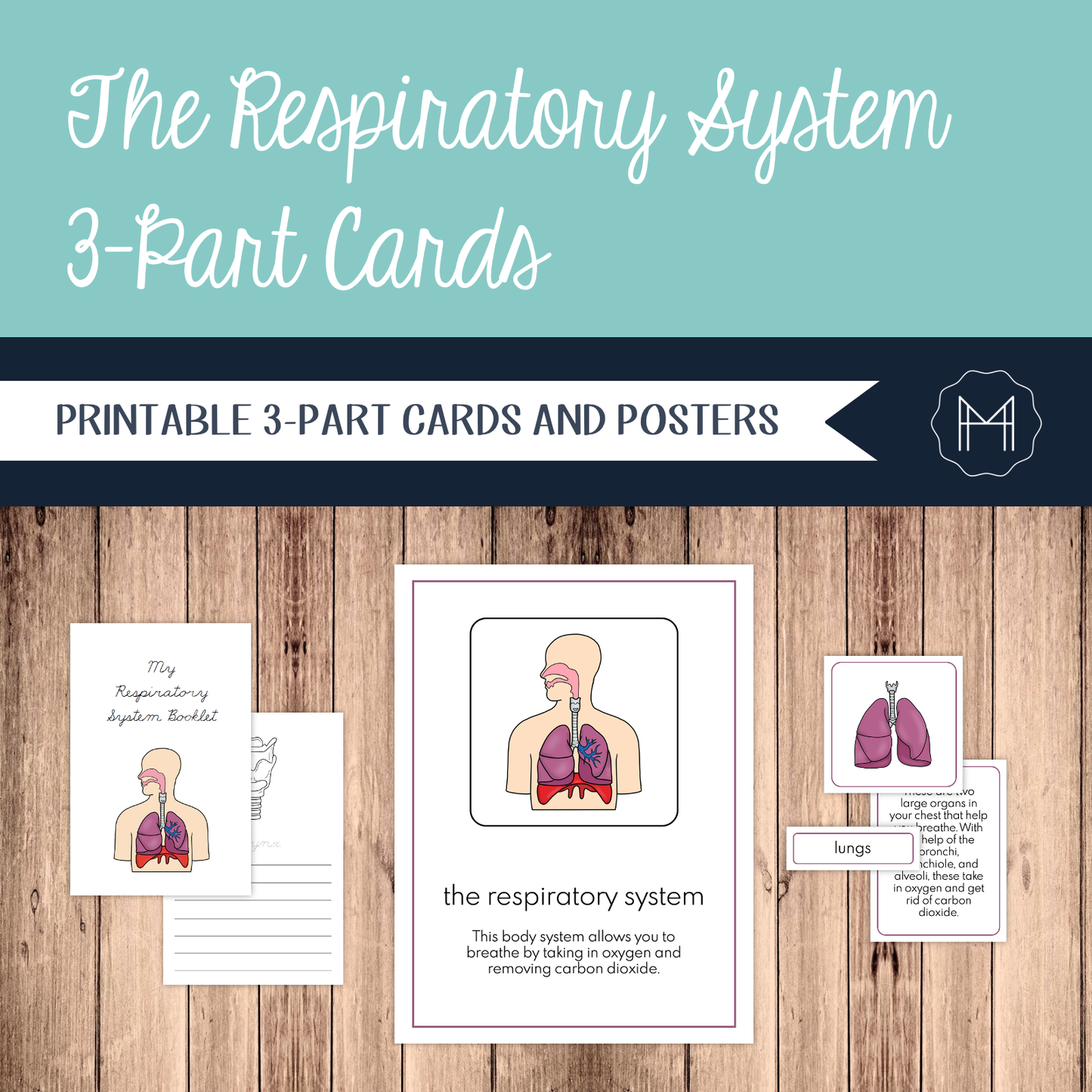 The Respiratory System: 3-Part Cards, Posters, and Booklets