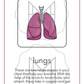 The Respiratory System: 3-Part Cards, Posters, and Booklets