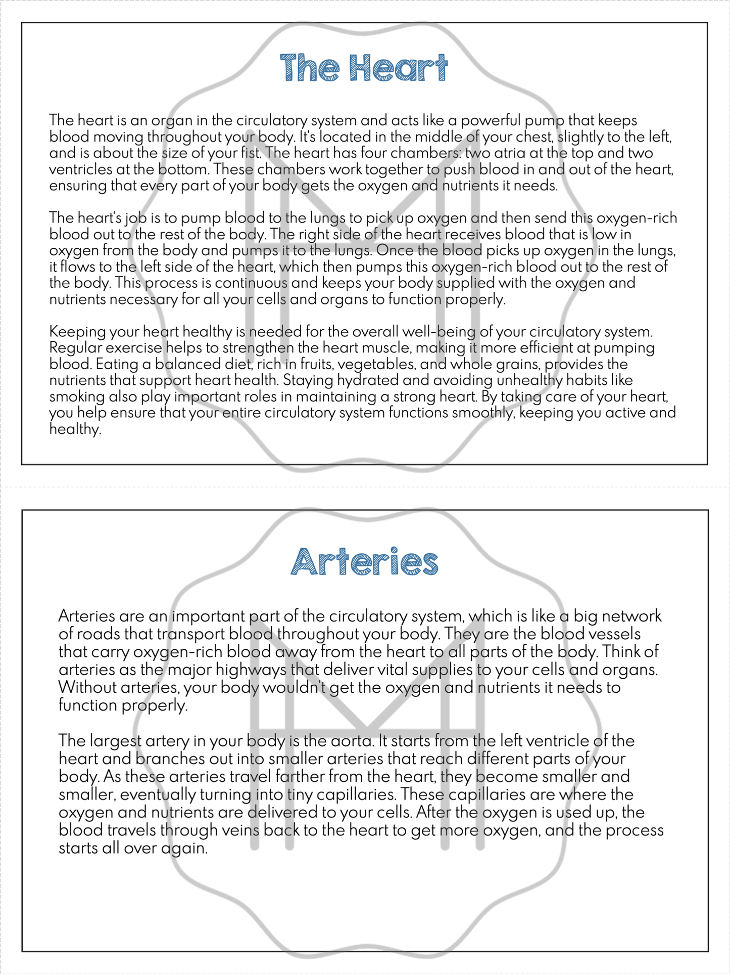 The Circulatory System Unit