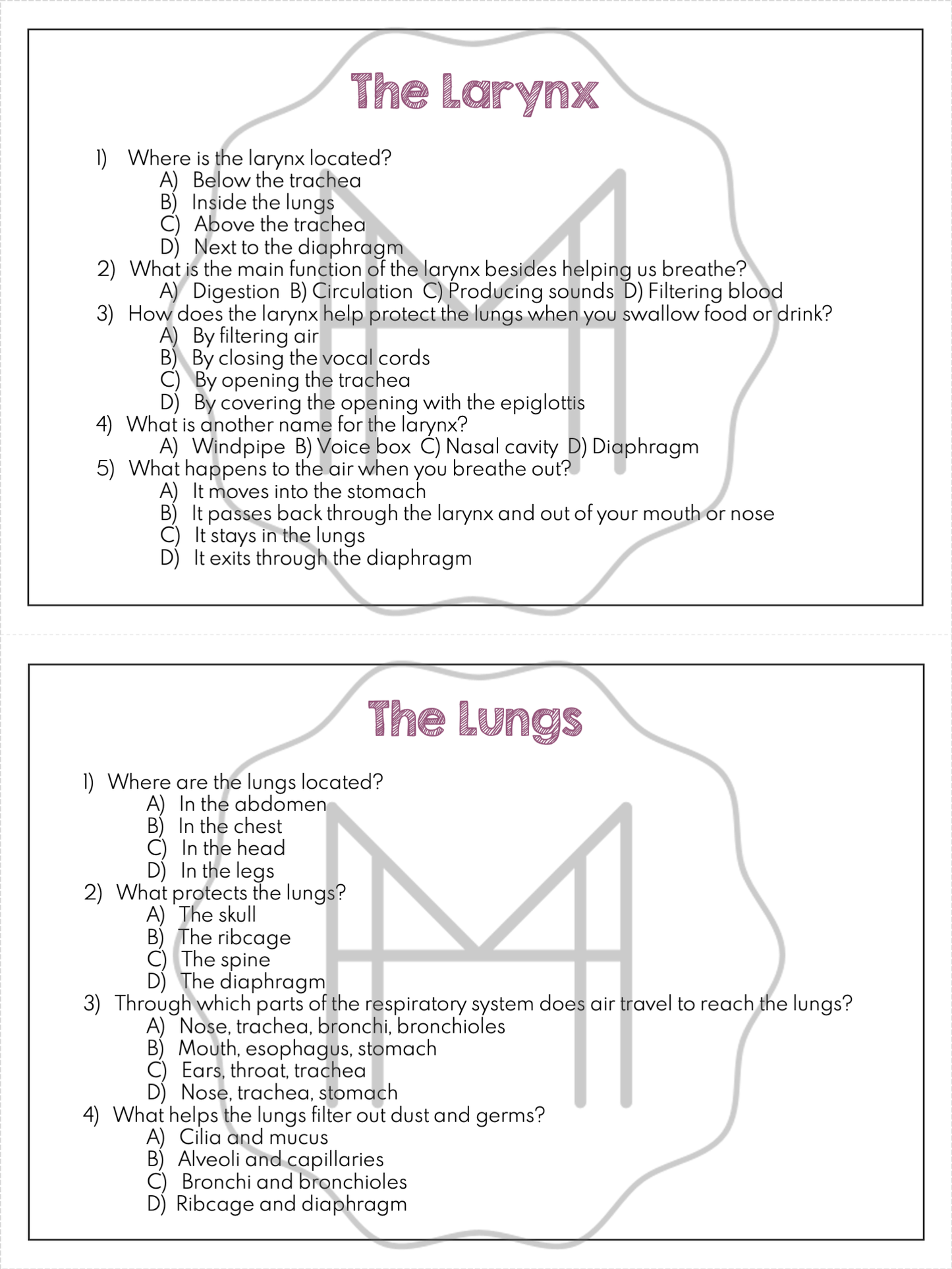 The Respiratory System Unit