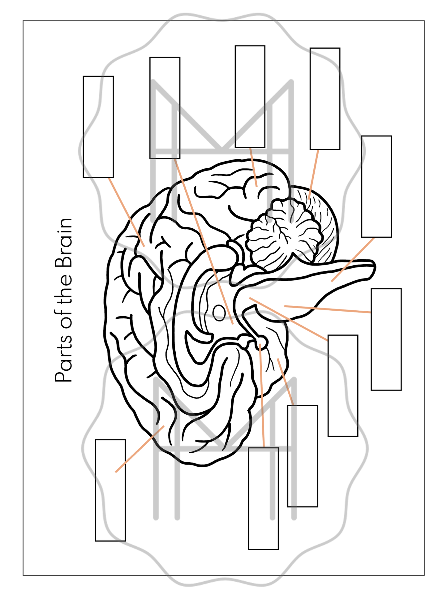 The Nervous System Unit