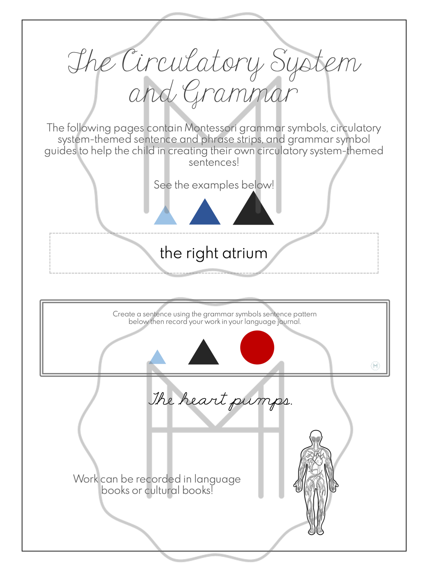 The Circulatory System Unit