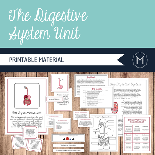 The Digestive System Unit