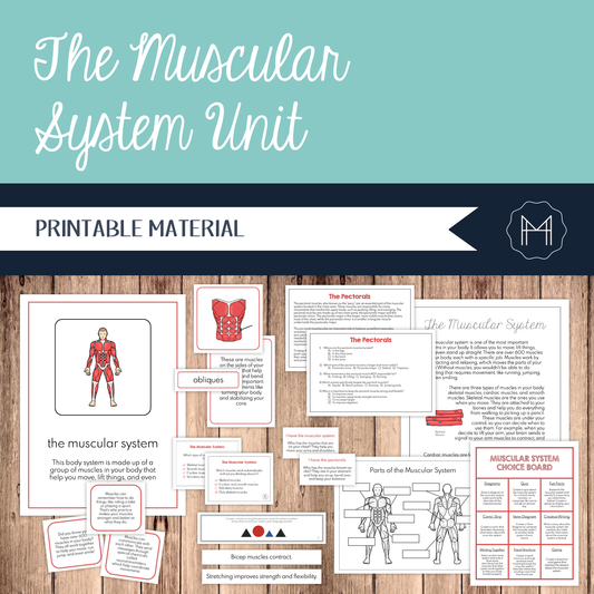 The Muscular System Unit