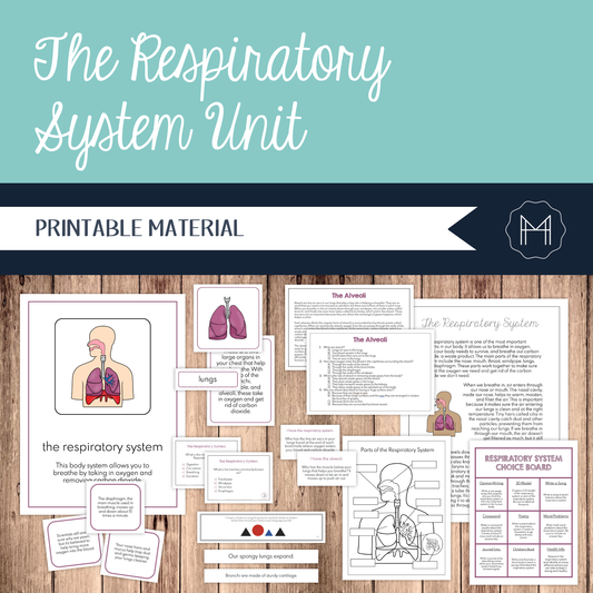 The Respiratory System Unit